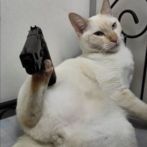 Meet your Posher, Heartley